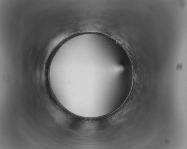 X0000096730248200802051447