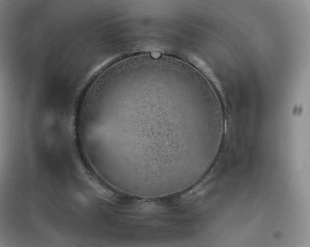 X0000096730249200802051447