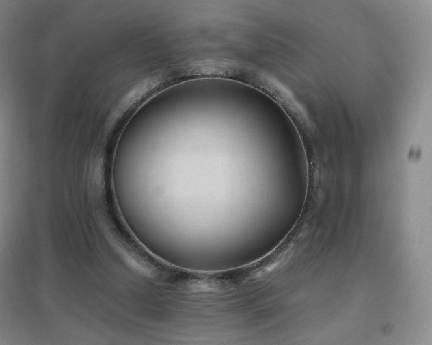 X0000096730250200802051447