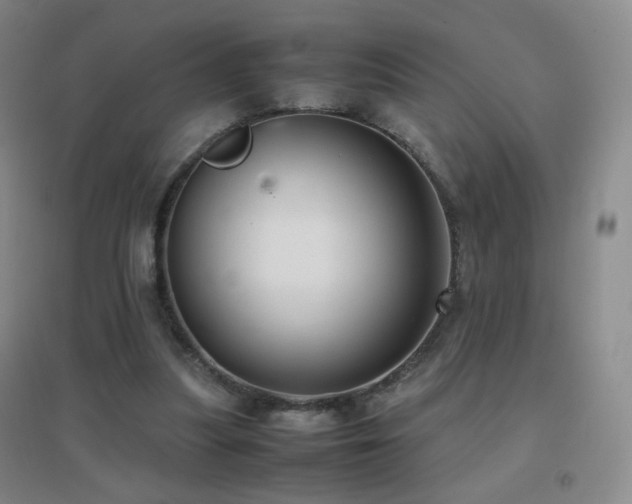 X0000096730251200802051447