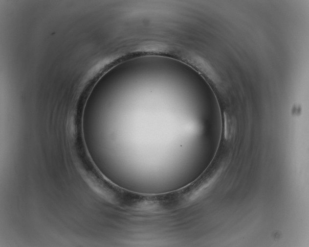 X0000096730252200802051447