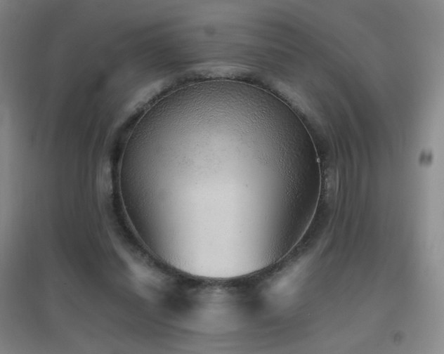 X0000096730254200802051447