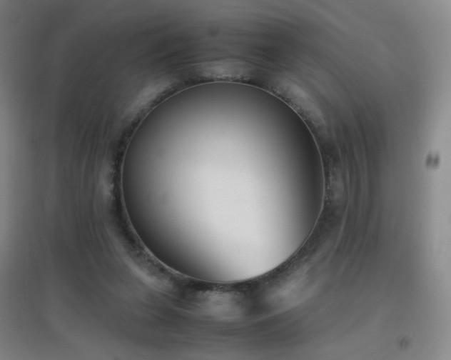 X0000096730255200802051447