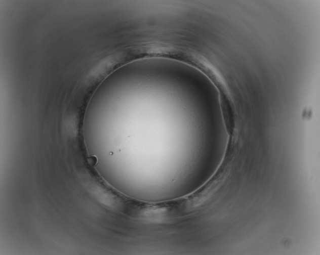 X0000096730257200802051447