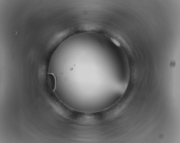 X0000096730260200802051447