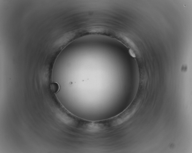 X0000096730261200802051447