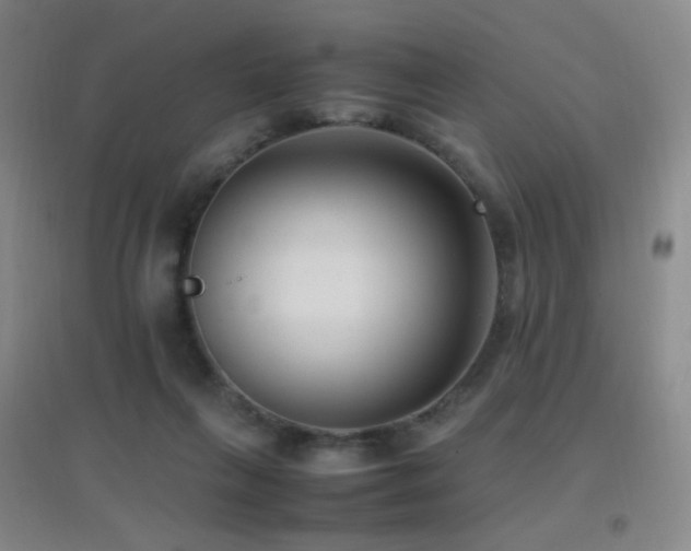 X0000096730263200802051447