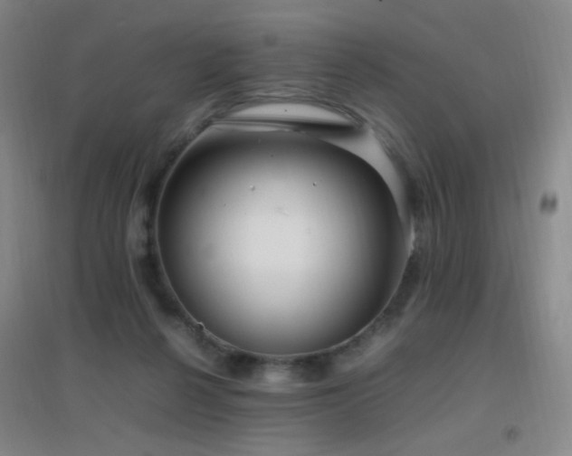 X0000096730264200802051447