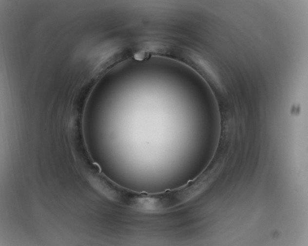X0000096730265200802051447