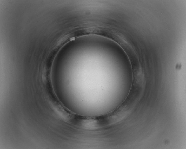 X0000096730266200802051447