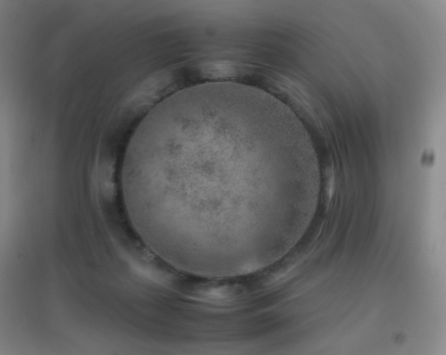 X0000096730267200802051447