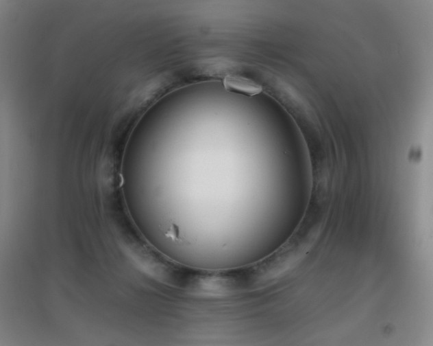 X0000096730268200802051447
