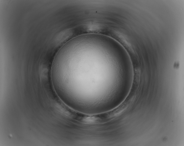 X0000096730269200802051447