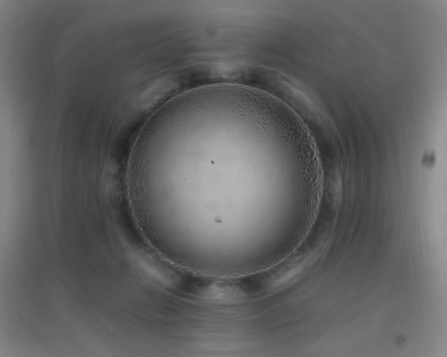 X0000096730270200802051447