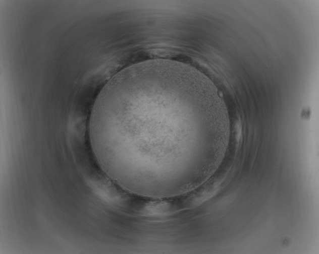 X0000096730271200802051447