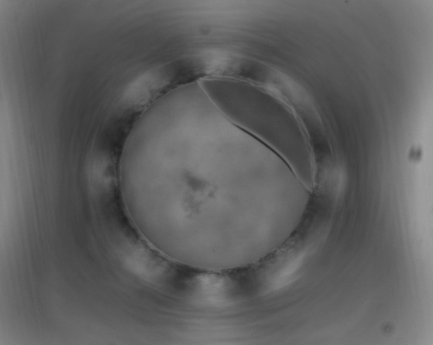 X0000096730272200802051447