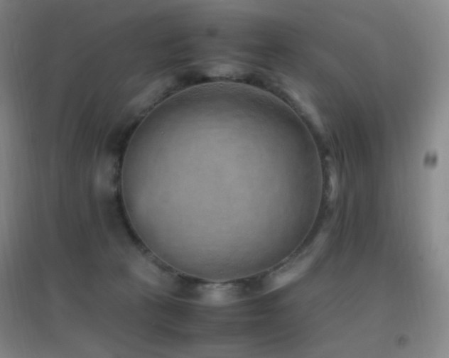 X0000096730273200802051447
