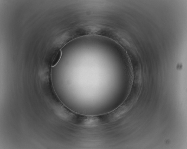 X0000096730274200802051447