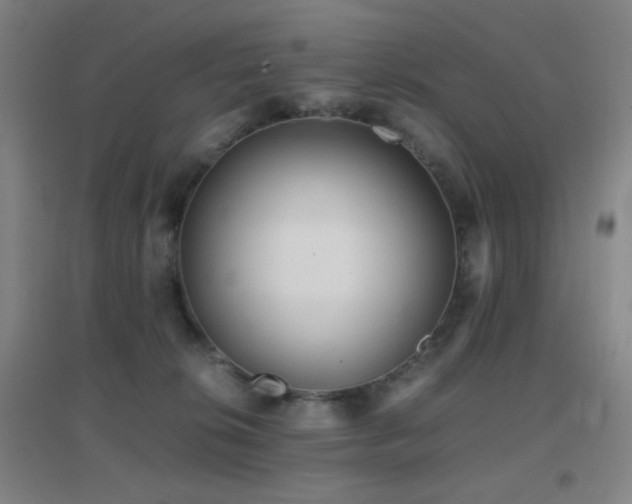 X0000096730276200802051448
