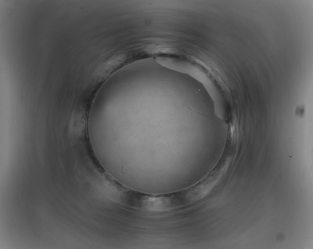 X0000096730277200802051448