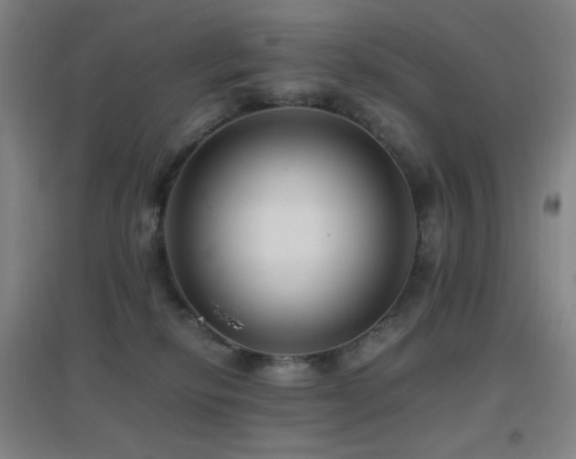 X0000096730278200802051448