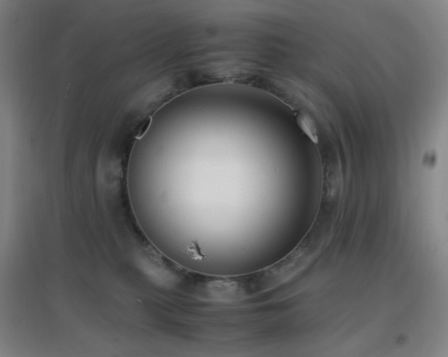 X0000096730279200802051448
