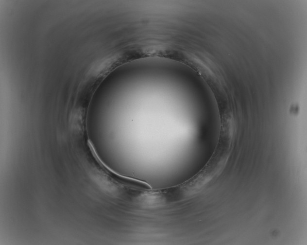 X0000096730280200802051448