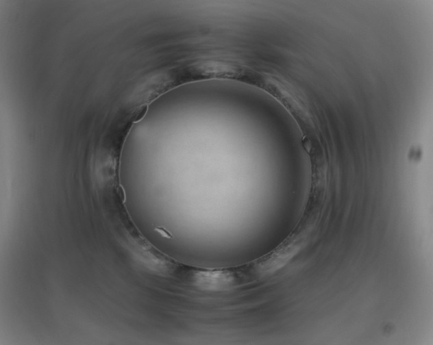 X0000096730281200802051448