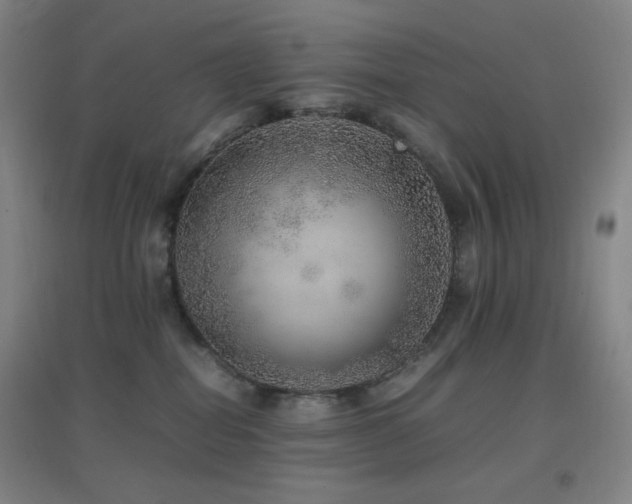 X0000096730282200802051448