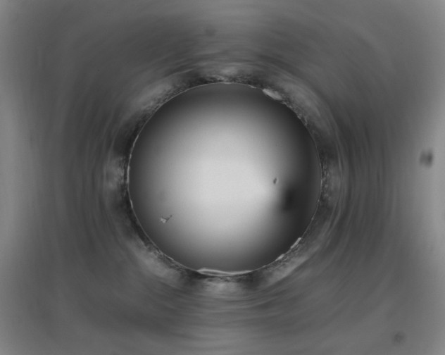 X0000096730284200802051448