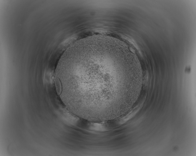 X0000096730285200802051448