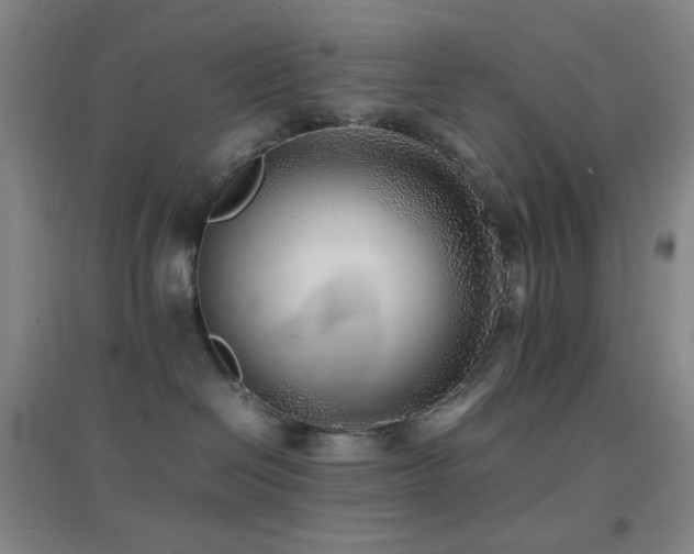 X0000096730286200802051448