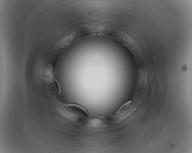 X0000096730287200802051448