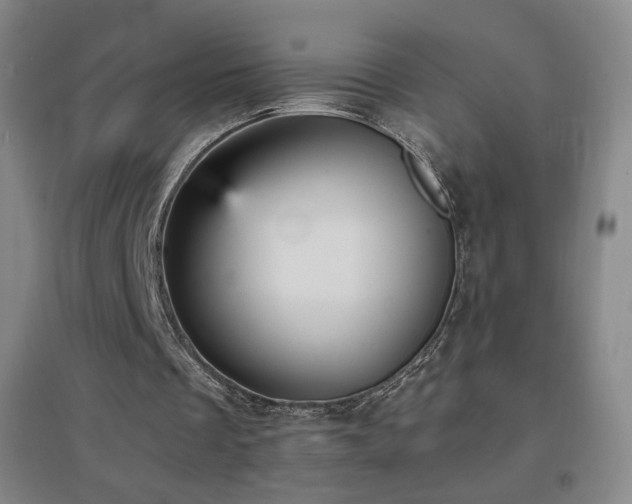 X0000096730289200802051447
