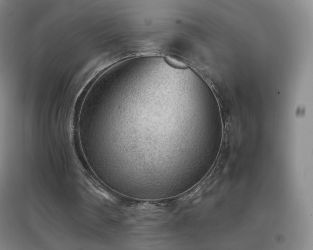X0000096730290200802051447