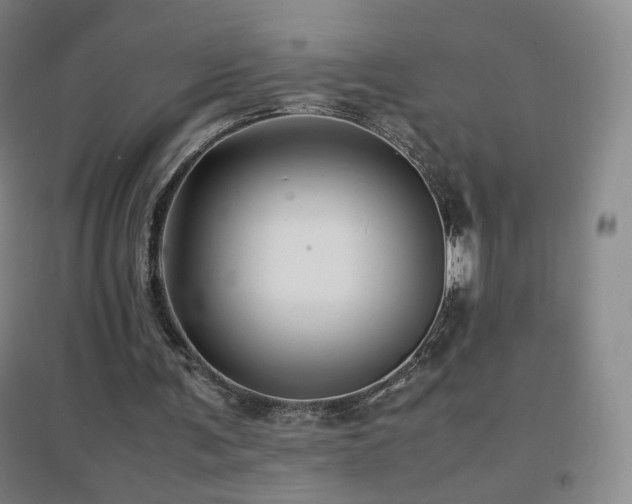 X0000096730291200802051447