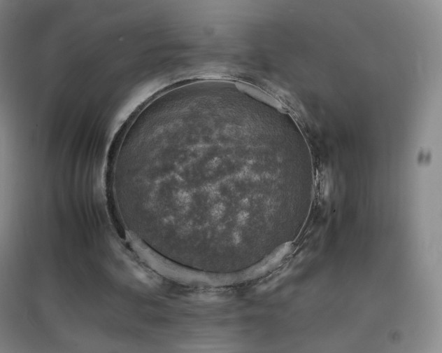 X0000096730292200802051447