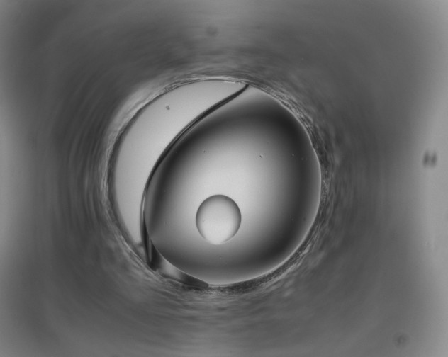 X0000096730293200802051447
