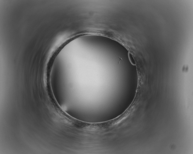 X0000096730294200802051447