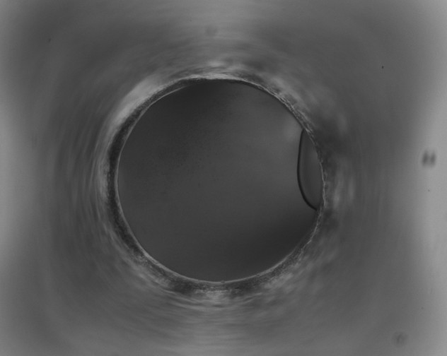 X0000096730295200802051447