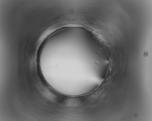 X0000096730296200802051447
