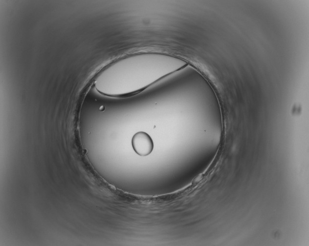 X0000096730297200802051447