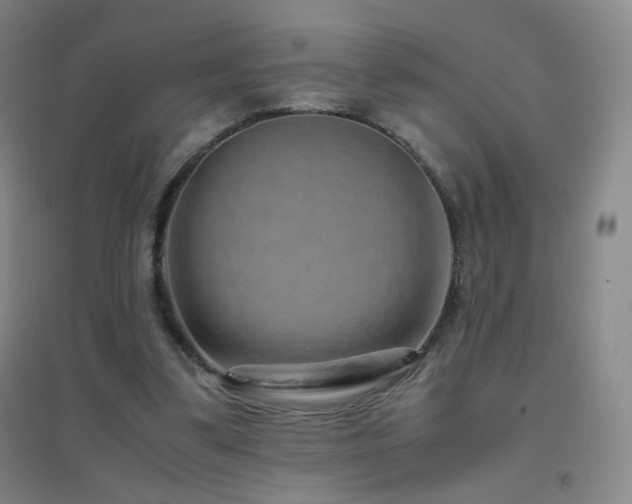 X0000096730299200802051447