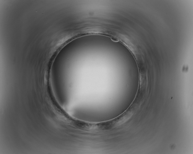 X0000096730301200802051447