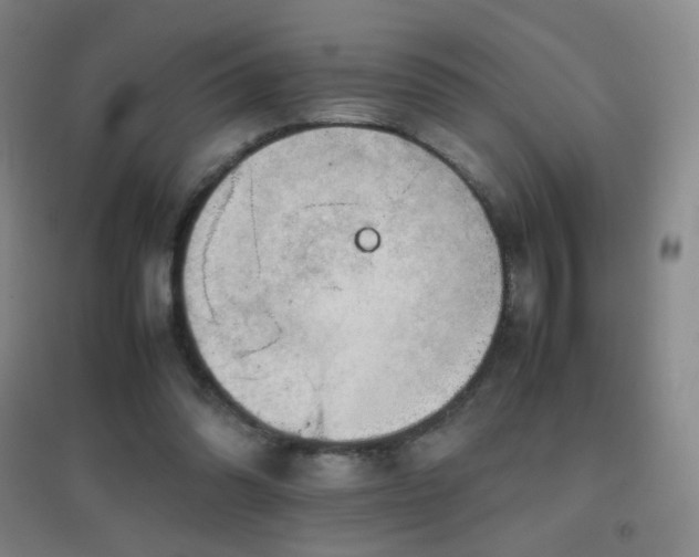 X0000096730302200802051447