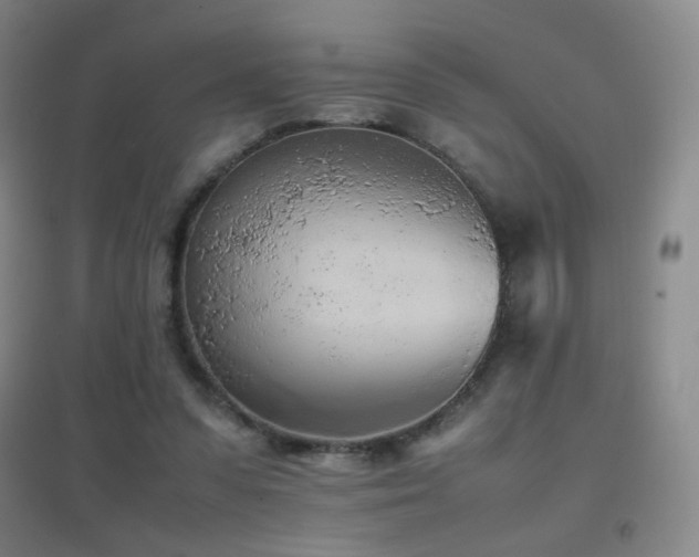 X0000096730303200802051447
