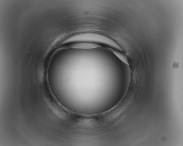 X0000096730304200802051447