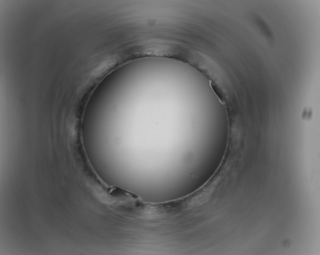 X0000096730305200802051447