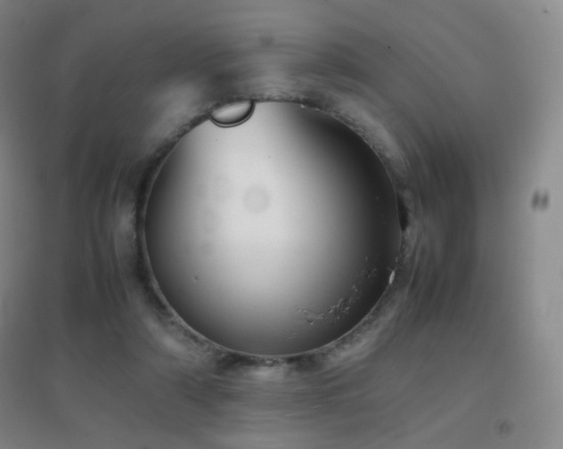 X0000096730306200802051447