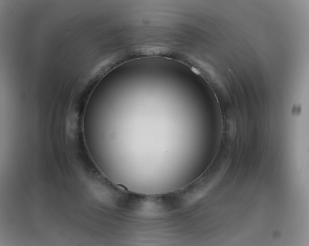 X0000096730308200802051447